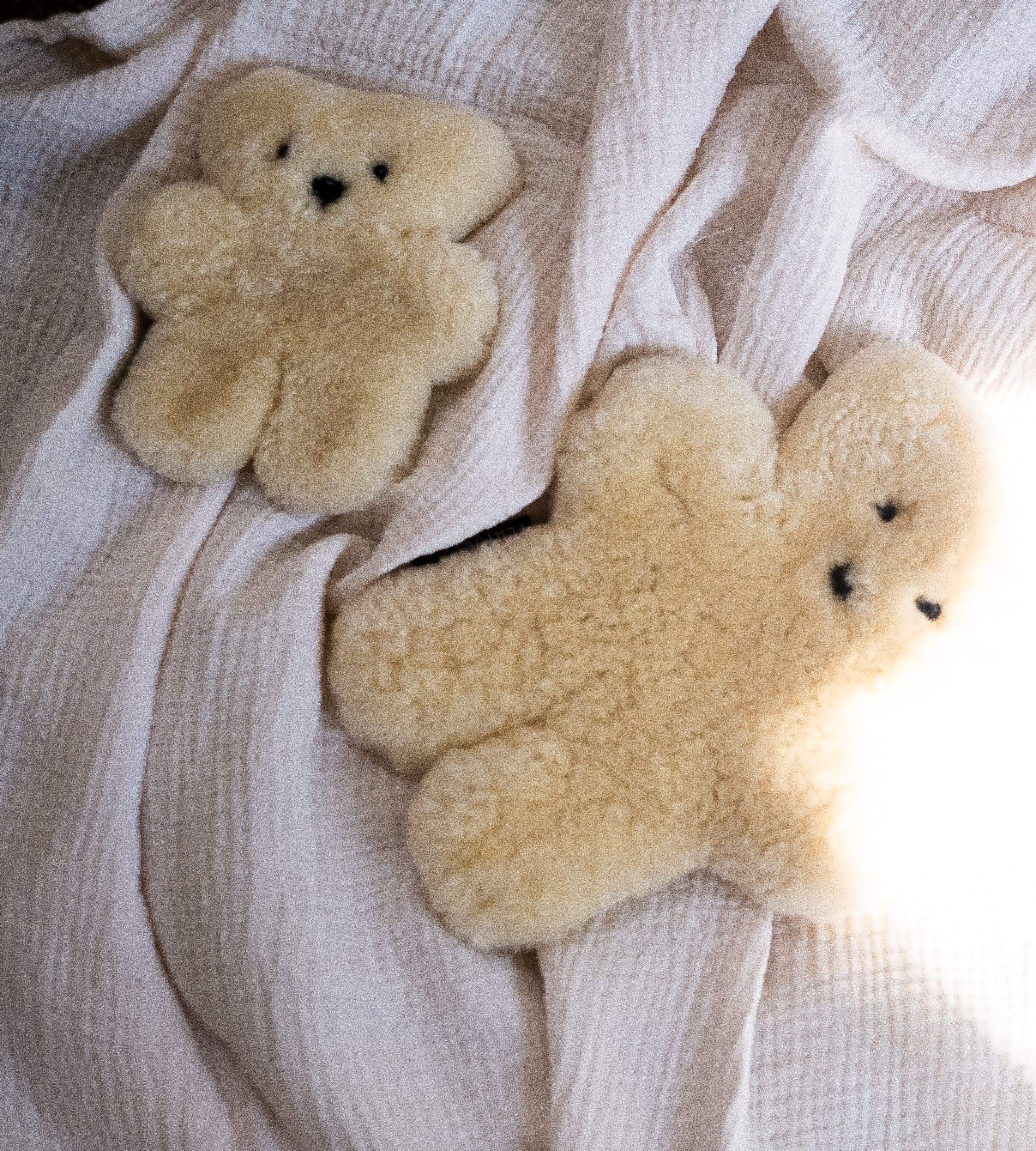 sheepskin teddy bear in milk colours, the perfect newborn gift for any baby