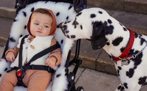 NEW! DALMATIAN FIXED HARNESS SNUGGLER