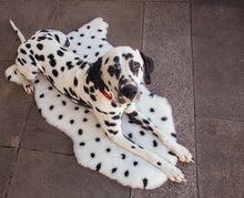 Load image into Gallery viewer, DALMATIAN DOVE WRIGGLEMAT